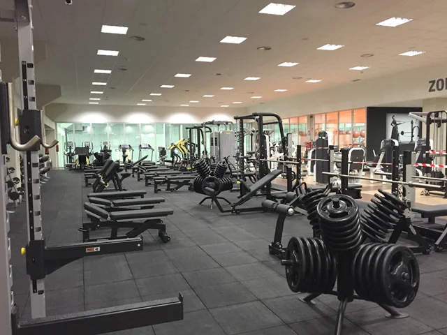 Body Factory 2