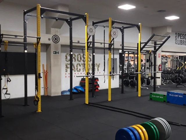 Body Factory 3